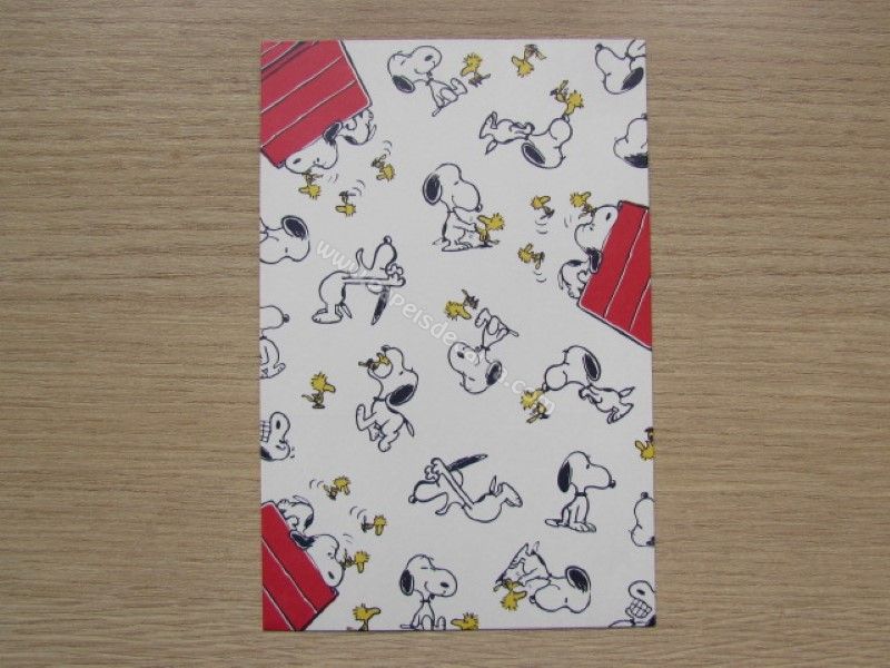 Verso do envelope