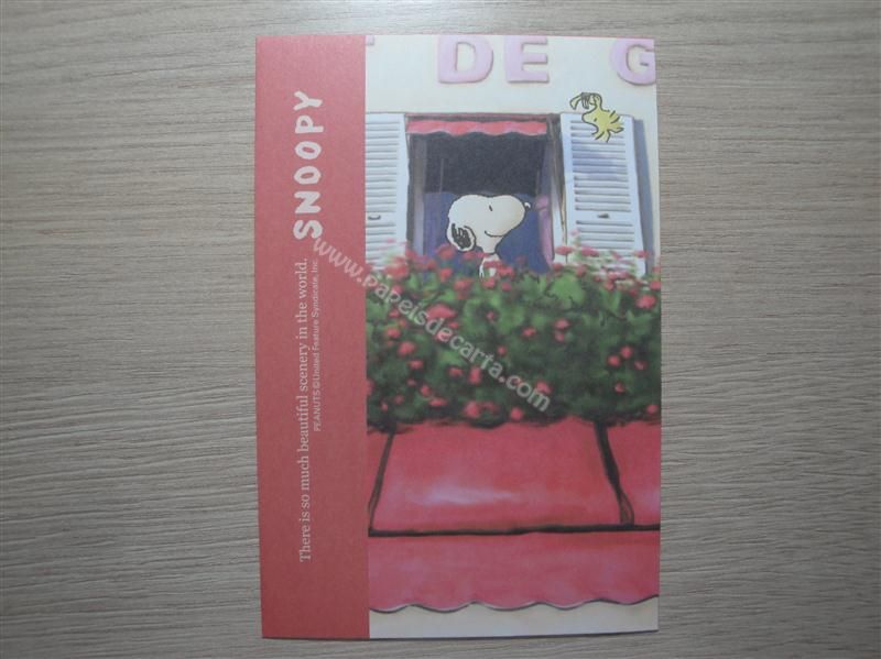 Verso do envelope