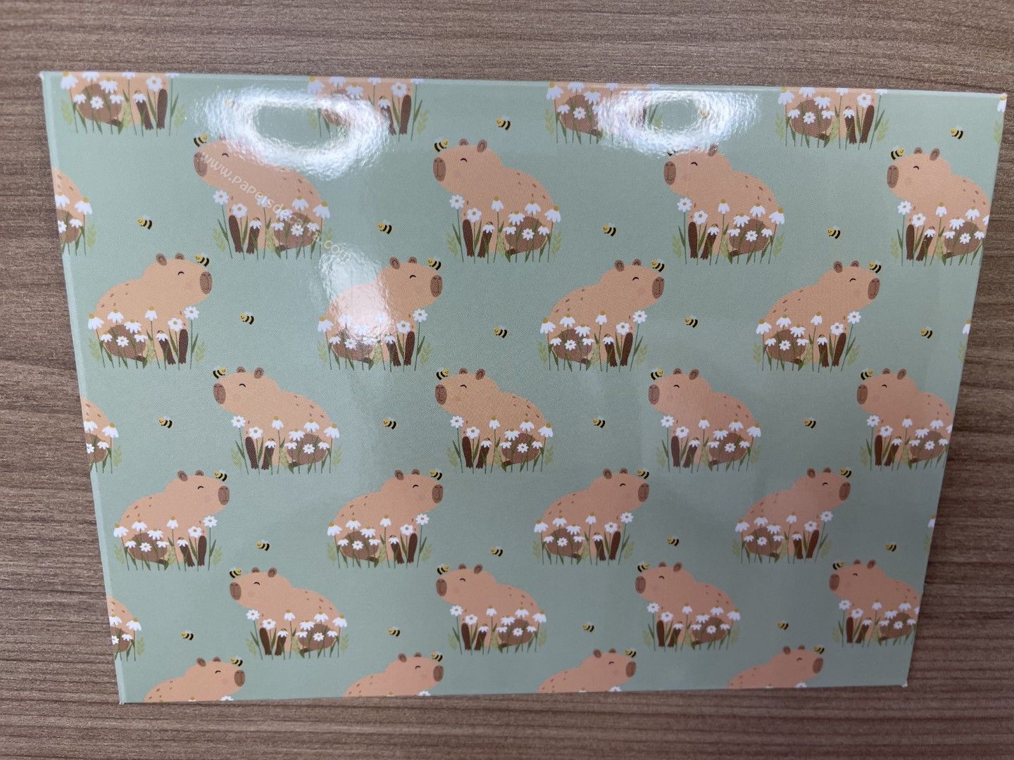 Verso do envelope